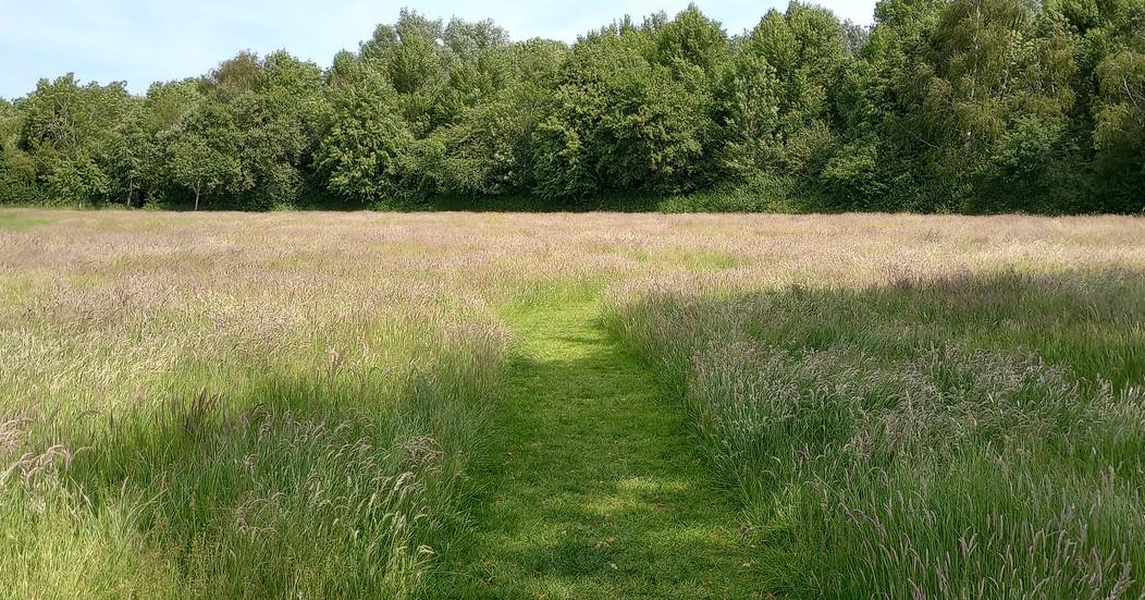 Ferndale Park