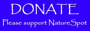 please donate
