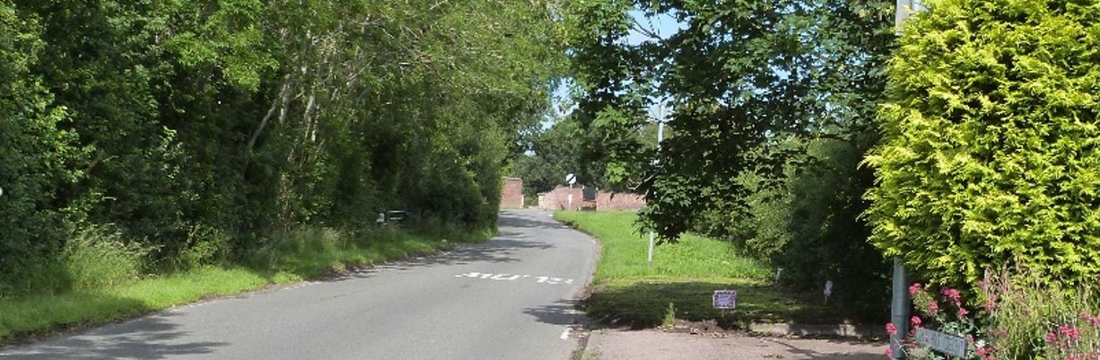 Thurlaston Desford Rd verge