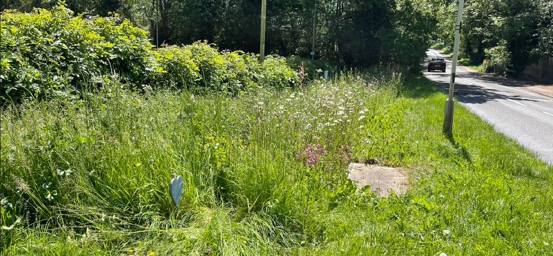 Thurnby Court Rd verge