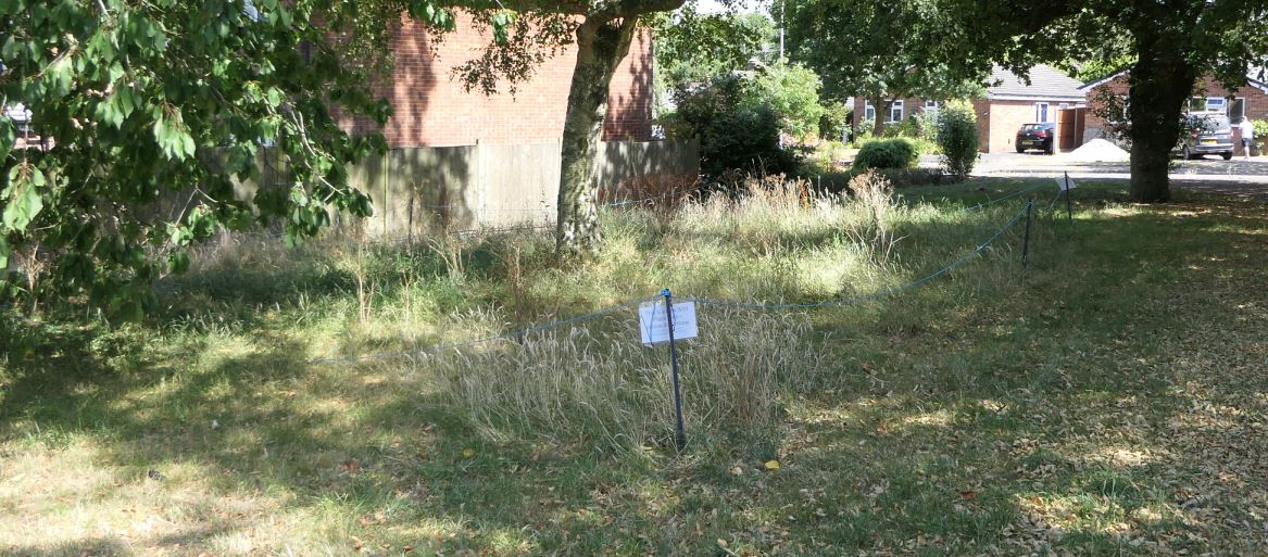 Thurnby, Hollies Way Verge