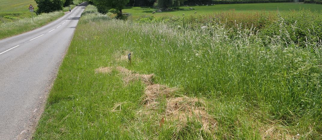 Ullesthorpe, Lutterworth Rd verge