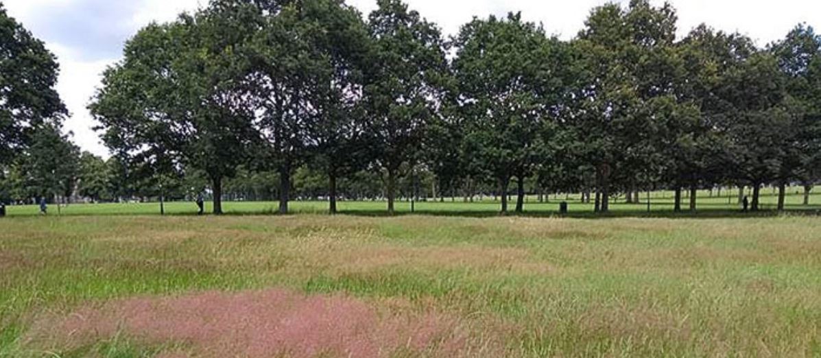 Victoria Park, Leicester