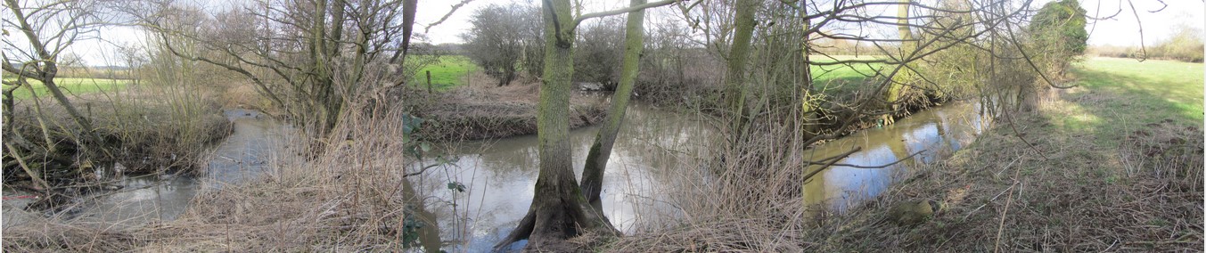 Glenfield, Watersmeet Meadow