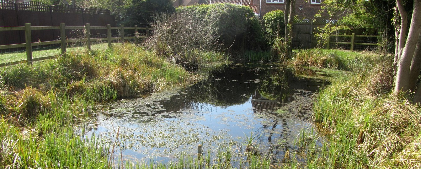 Glenfield, Wheatfield Pond